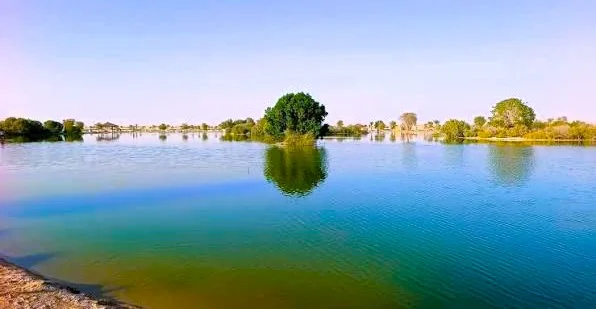 Al Wathba Lake Abu Dhabi: Camping, BBQ, Timings and Locations 1 al wathba lake