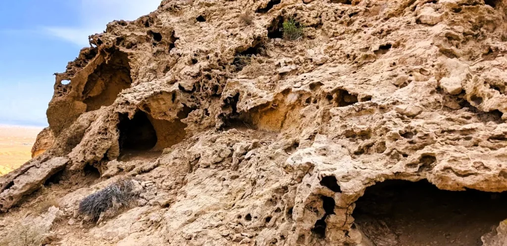 Fossil Rock Sharjah: How to Visit, Hiking Trail, Places Nearby and Where to Stay 4 fossil rock images