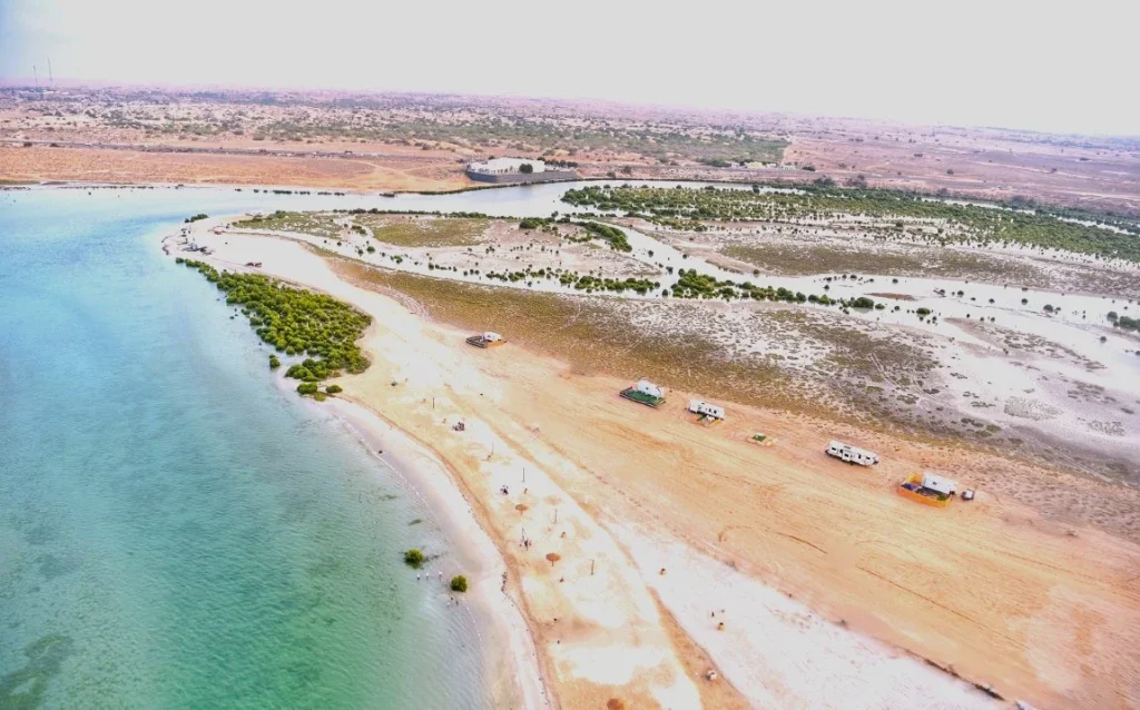 Mangrove Beach Umm Al Quwain: Entry Fee, Camping and Kayaking Guide 3 mangrove beach umm al quwain tours