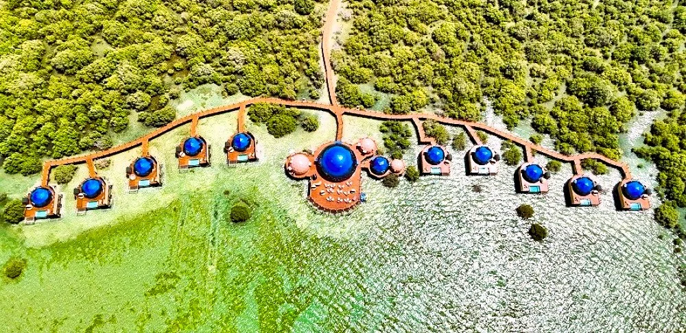 Mangrove Beach Umm Al Quwain: Entry Fee, Camping and Kayaking Guide 4 mangrove beach umm al quwain