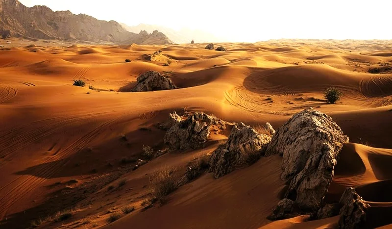 Mleiha Sharjah: UNESCO Heritage, Things to Do, Tickets and Where to Stay 3 mleiha sharjah fossil rock