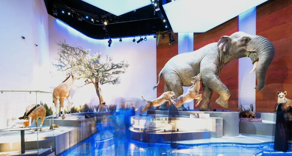 Natural History Museum Abu Dhabi: Tickets, Opening Hours and What to See 3 natural history museum abu dhabi animals