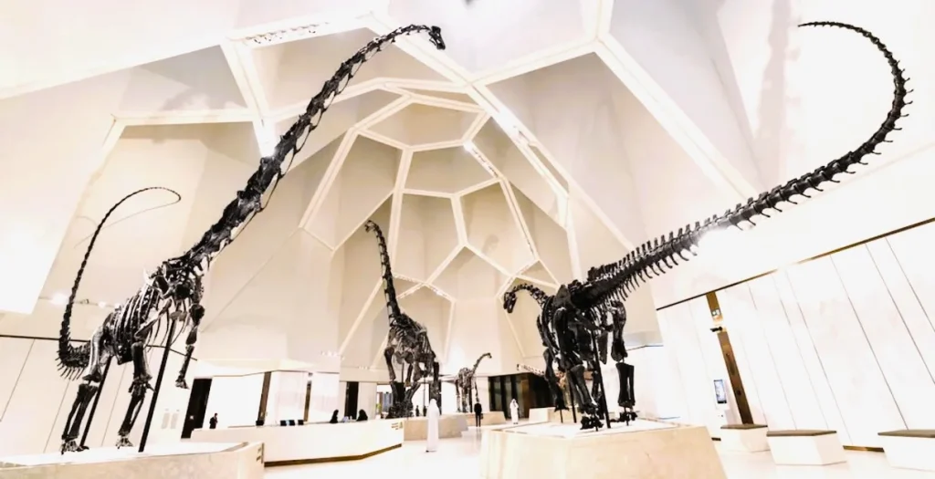 Natural History Museum Abu Dhabi: Tickets, Opening Hours and What to See 2 natural history museum abu dhabi skeleton
