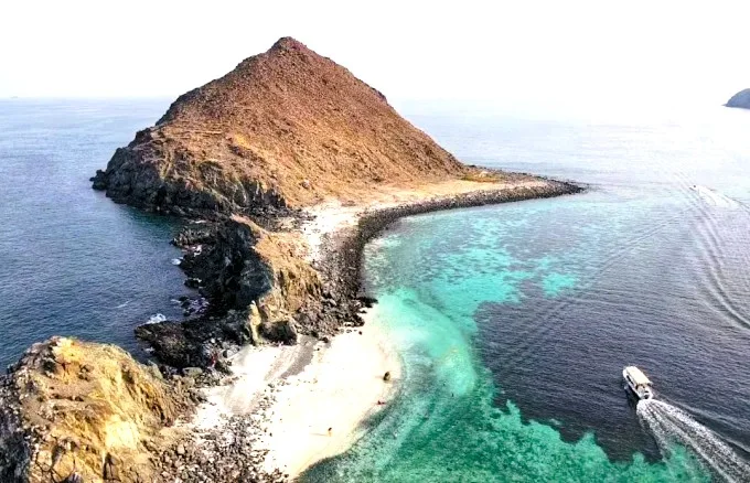 Shark Island Khorfakkan: Boat Trips, Snorkeling and Tips 1 shark island khorfakkan location