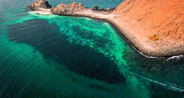 Shark Island Khorfakkan: Boat Trips, Snorkeling and Tips 4 shark island khorfakkan sharks