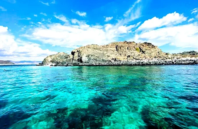 Shark Island Khorfakkan: Boat Trips, Snorkeling and Tips 3 shark island