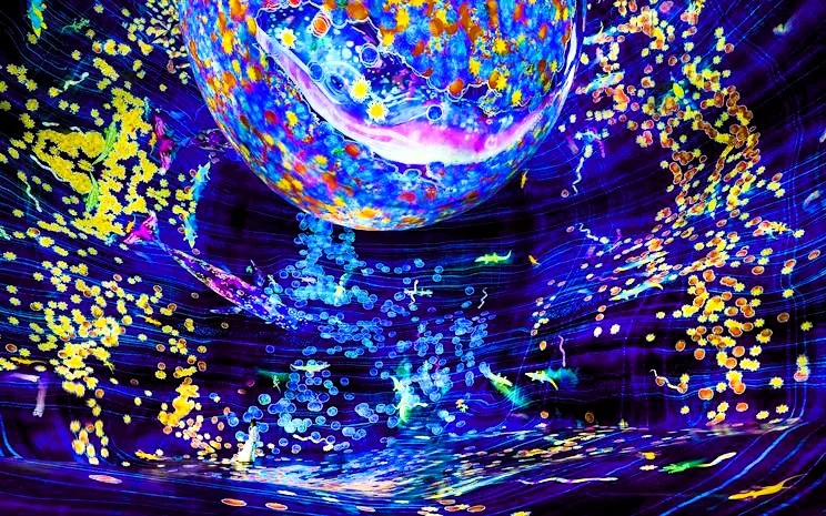 teamLab Phenomena Abu Dhabi: Tickets, Opening Hours and What to Expect 1 teamLab Phenomena location