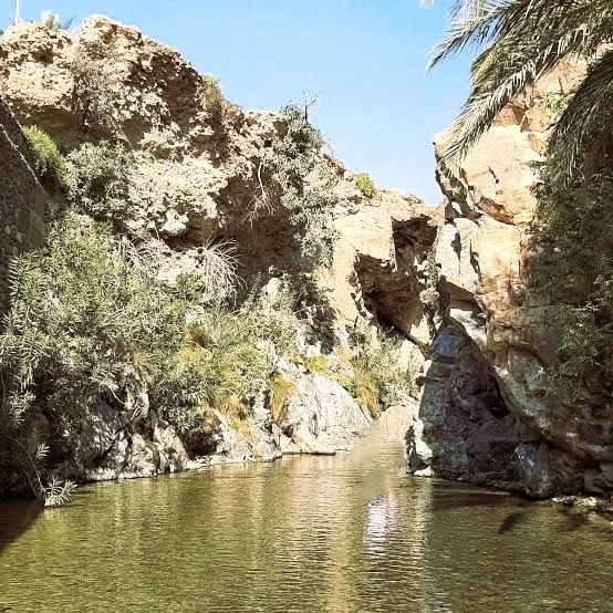 Wadi Shees sa Khorfakkan: Shees Park, Talon at Mga Tip sa Paglalakbay 3 wadi shees water